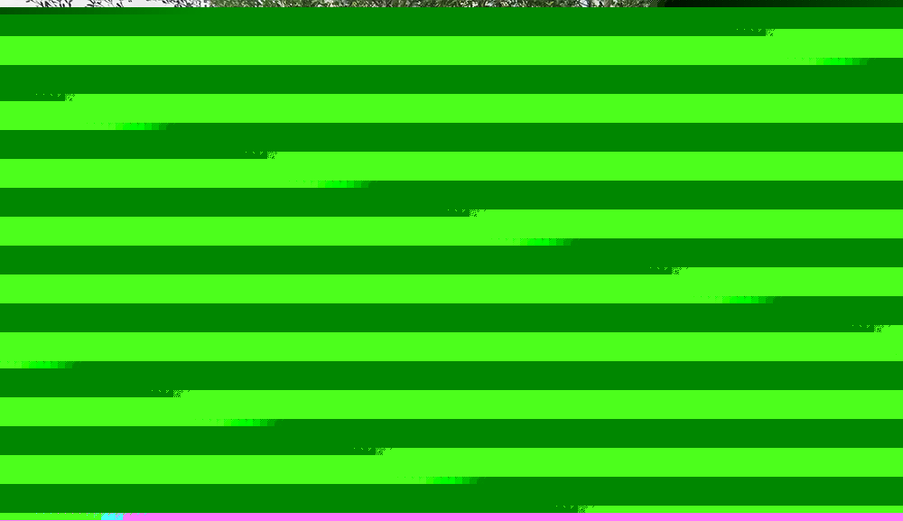 玻璃钢树池篦子图片