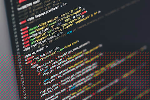 乐清定制网站建设电话